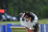 Canis donderdag