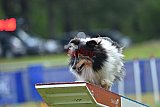 Canis donderdag