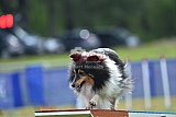 Canis donderdag
