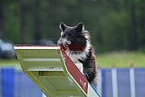 Canis donderdag
