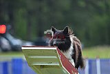 Canis donderdag