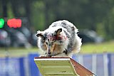 Canis donderdag
