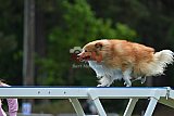 Canis donderdag
