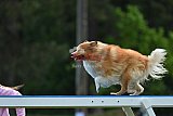 Canis donderdag