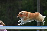 Canis donderdag