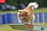 Canis donderdag