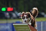 Canis donderdag