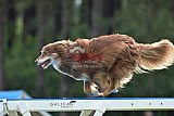 Canis donderdag