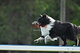 Canis donderdag