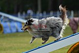 Canis donderdag