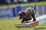Canis donderdag