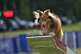 Canis donderdag
