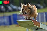 Canis donderdag