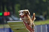Canis donderdag