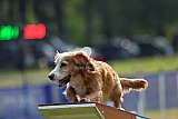 Canis donderdag