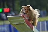 Canis donderdag