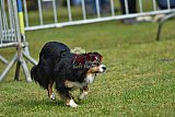 Canis donderdag