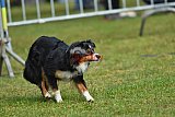 Canis donderdag