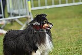 Canis donderdag