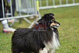 Canis donderdag