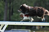 Canis donderdag