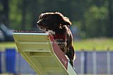 Canis donderdag
