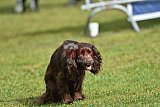 Canis donderdag