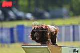 Canis donderdag