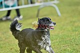 Canis donderdag