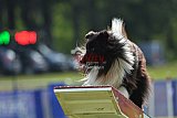 Canis donderdag