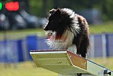 Canis donderdag