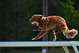 Canis donderdag