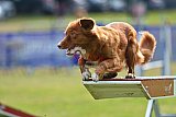 Canis donderdag