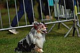 Canis donderdag