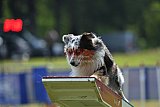 Canis donderdag