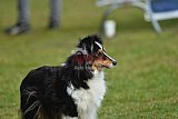 Canis donderdag