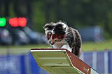 Canis donderdag