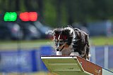 Canis donderdag