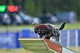 Canis donderdag