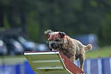 Canis donderdag