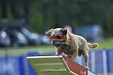 Canis donderdag