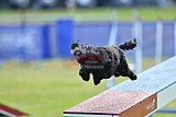 Canis donderdag