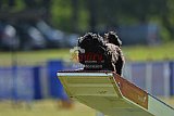 Canis donderdag