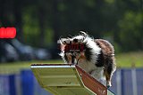 Canis donderdag