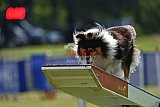 Canis donderdag