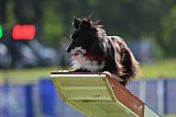 Canis donderdag