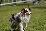 Canis donderdag