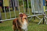 Canis donderdag