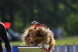 Canis donderdag