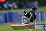 Canis donderdag